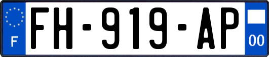 FH-919-AP