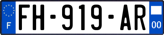 FH-919-AR