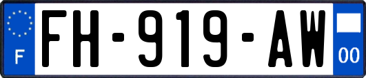 FH-919-AW