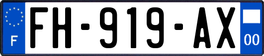 FH-919-AX