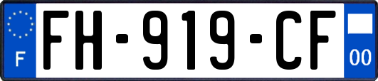 FH-919-CF