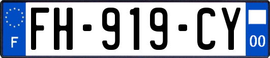 FH-919-CY