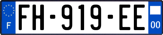 FH-919-EE