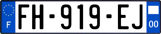 FH-919-EJ