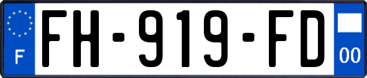 FH-919-FD