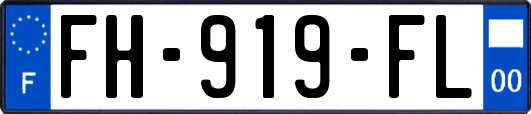 FH-919-FL