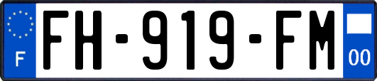 FH-919-FM
