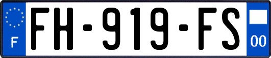 FH-919-FS