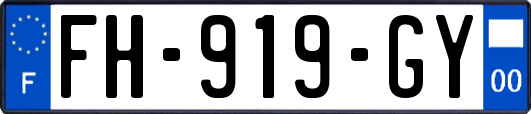 FH-919-GY