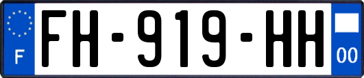 FH-919-HH