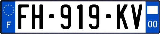 FH-919-KV