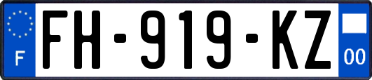 FH-919-KZ