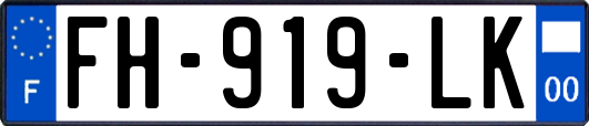 FH-919-LK
