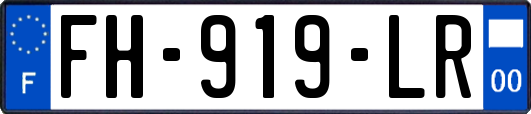 FH-919-LR