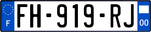 FH-919-RJ