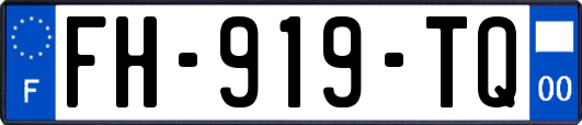 FH-919-TQ