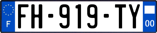 FH-919-TY