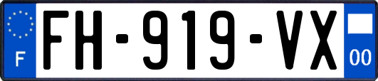 FH-919-VX