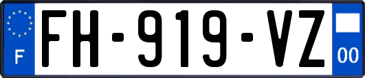 FH-919-VZ