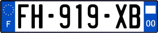 FH-919-XB