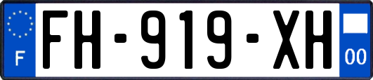 FH-919-XH