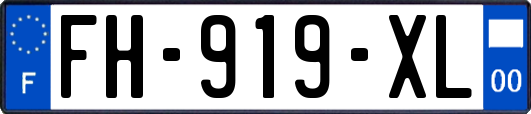 FH-919-XL