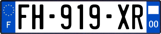 FH-919-XR