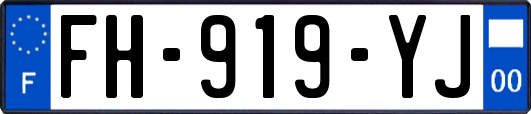 FH-919-YJ