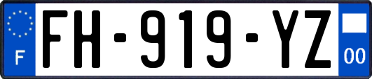FH-919-YZ