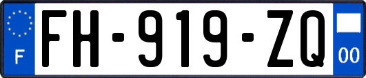 FH-919-ZQ