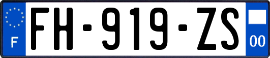 FH-919-ZS