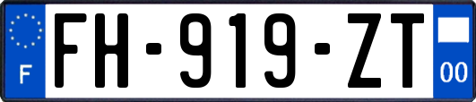 FH-919-ZT