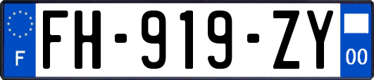 FH-919-ZY