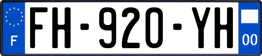 FH-920-YH