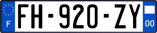 FH-920-ZY