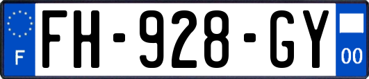FH-928-GY