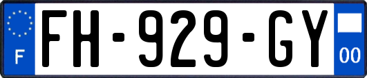 FH-929-GY