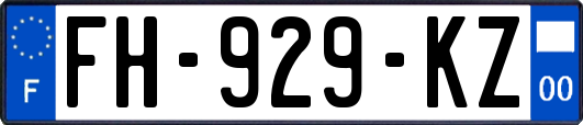FH-929-KZ