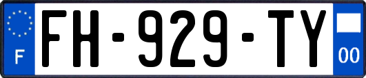 FH-929-TY