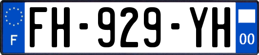 FH-929-YH