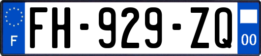 FH-929-ZQ