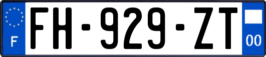 FH-929-ZT