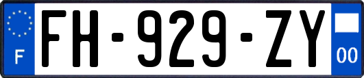 FH-929-ZY