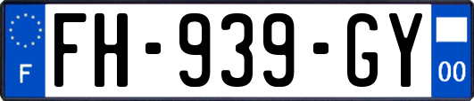 FH-939-GY