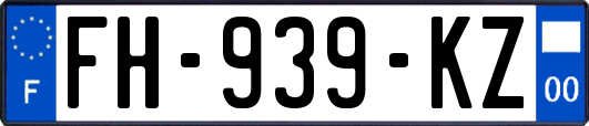 FH-939-KZ