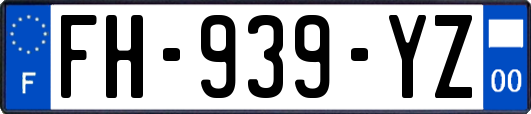 FH-939-YZ