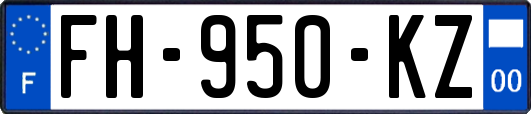 FH-950-KZ