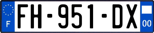 FH-951-DX