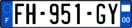 FH-951-GY