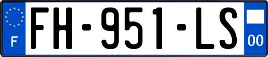 FH-951-LS